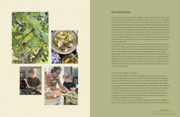 Dinner Tonight: Simple meals, exciting flavours - Meliz Berg [KSIĄŻKA]