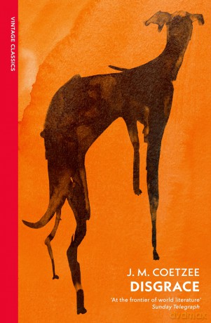 Disgrace: A BBC Radio 4 Good Read - J M Coetzee [KSIĄŻKA]