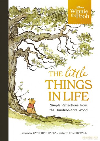 Disney Winnie the Pooh - The Little Things in Life: Simple reflections from the Hundred-Acre Wood - Walt Disney [KSIĄŻKA]
