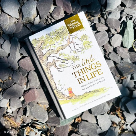 Disney Winnie the Pooh - The Little Things in Life: Simple reflections from the Hundred-Acre Wood - Walt Disney [KSIĄŻKA]