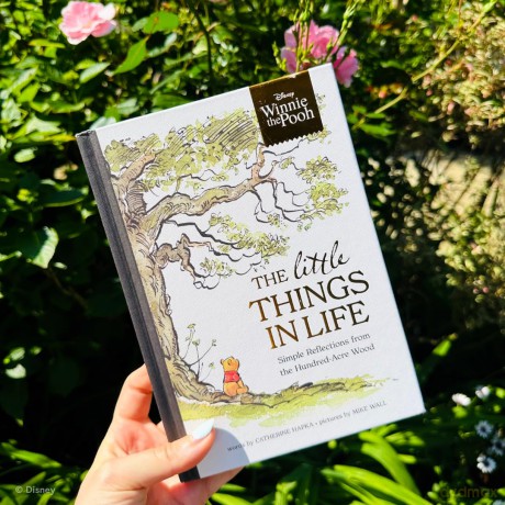 Disney Winnie the Pooh - The Little Things in Life: Simple reflections from the Hundred-Acre Wood - Walt Disney [KSIĄŻKA]