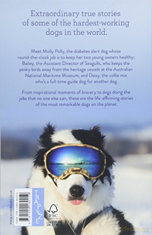 Dogs With Jobs: The perfect stocking filler for dog lovers - Laura Greaves [KSIĄŻKA]