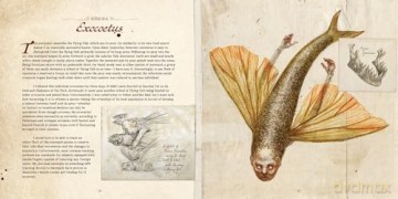 Dr. C. Lillefisk's Sirenology: A Guide to Mermaids and other under-the-sea Phenonemon (Wool of Bat) [KSIĄŻKA]