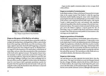 Dragons and Serpents: Earth Mysteries and the Time of Change - Stefan Broennle [KSIĄŻKA]