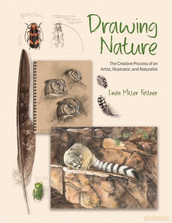 Drawing Nature: The Creative Process of an Artist, Illustrator, and Naturalist - Linda M Feltner [KSIĄŻKA]