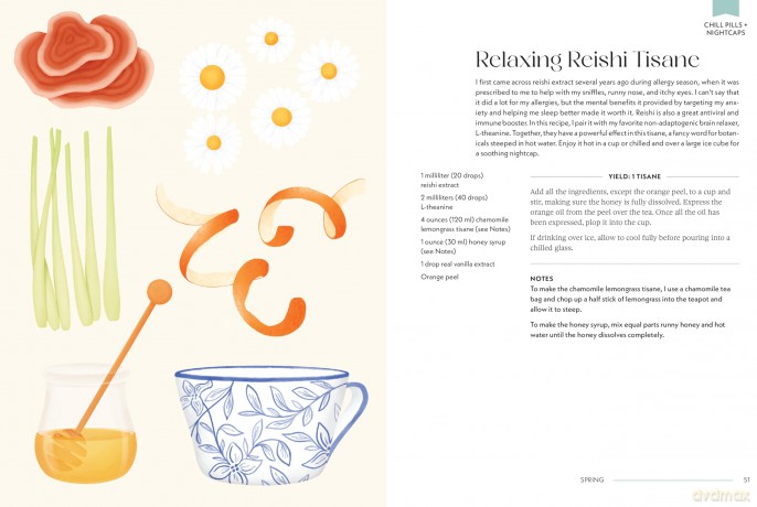 Drink Up and Glow: Non-Alcoholic, Adaptogen-Infused Drinks for Optimal Wellness, Energy, and Stress Relief - Gaby Mlynarczyk [KSIĄŻKA]