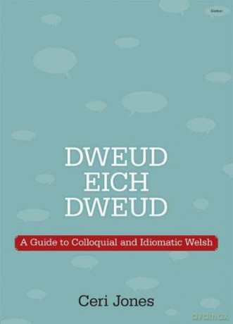 Dweud eich Dweud - Jones Ceri [KSIĄŻKA]