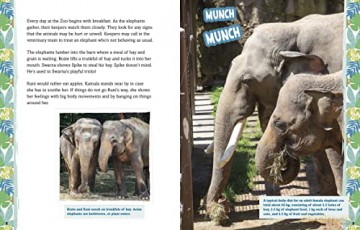 Elephants on the Move: A Day with an Asian Elephant Family - Lela Nargi [KSIĄŻKA]