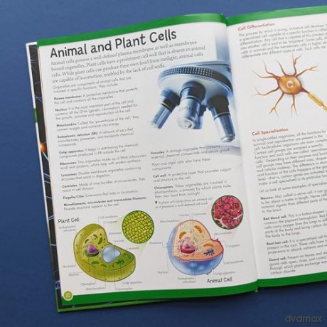 Encyclopedia of Learning - Biology, Chemistry, Physics - Qbs [KSIĄŻKA]