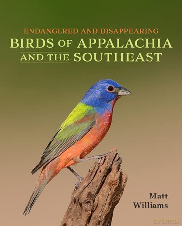 Endangered and Disappearing Birds of Appalachia and the Southeast - Matt Williams [KSIĄŻKA]