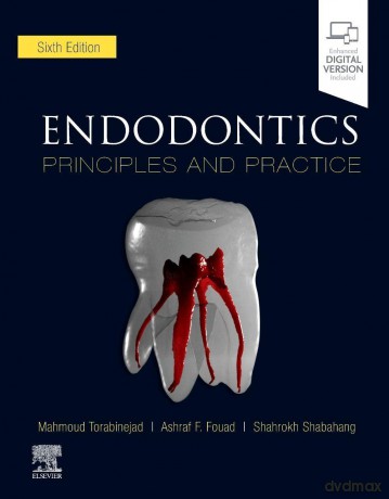 Endodontics: Principles and Practice - Mahmoud Torabinejad [KSIĄŻKA]