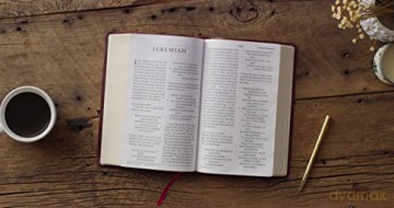 ESV Large Print Personal Size Bible, Mahogany: Esv Large Print Personal Size Bible - Trutone, Mahogany, Trellis Design [KSIĄŻKA]