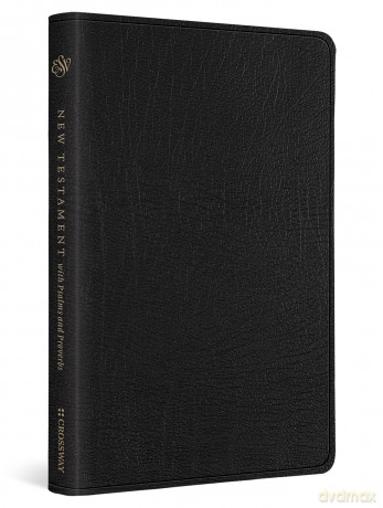 ESV New Testament with Psalms and Proverbs: English Standard Version, New Testament With Psalms and Proverbs [KSIĄŻKA]