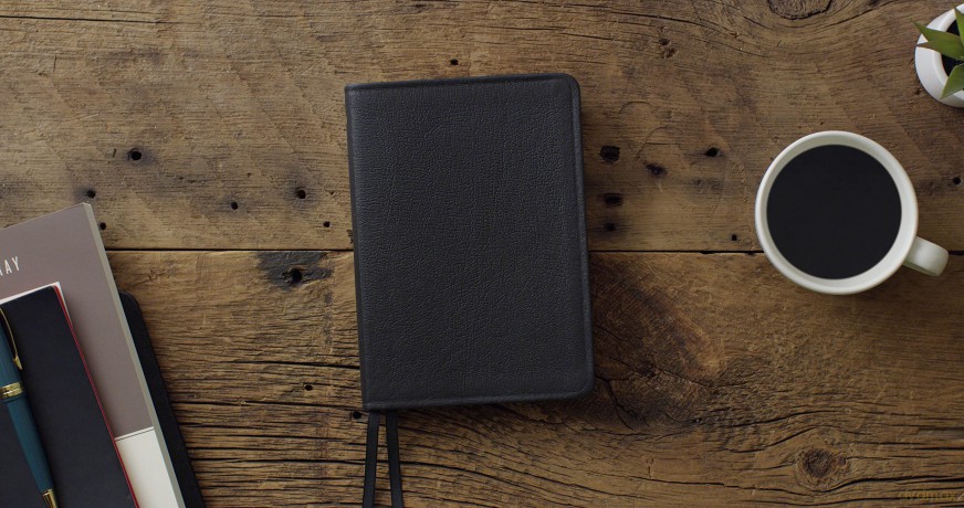 ESV New Testament with Psalms and Proverbs: English Standard Version, New Testament With Psalms and Proverbs [KSIĄŻKA]