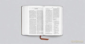 ESV Pocket Bible (Buffalo Leather, Deep Brown): English Standard Version, Deep Brown, Buffalo Leather [KSIĄŻKA]