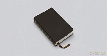 ESV Pocket Bible (Buffalo Leather, Deep Brown): English Standard Version, Deep Brown, Buffalo Leather [KSIĄŻKA]