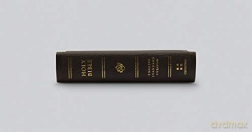 ESV Pocket Bible (Buffalo Leather, Deep Brown): English Standard Version, Deep Brown, Buffalo Leather [KSIĄŻKA]