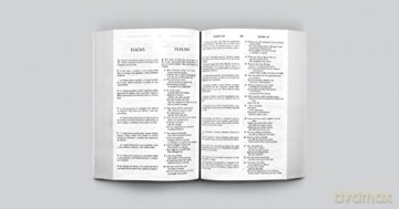 ESV Spanish/English Parallel Bible: English Standard Version, Spanish/English Parallel Bible - Esv [KSIĄŻKA]
