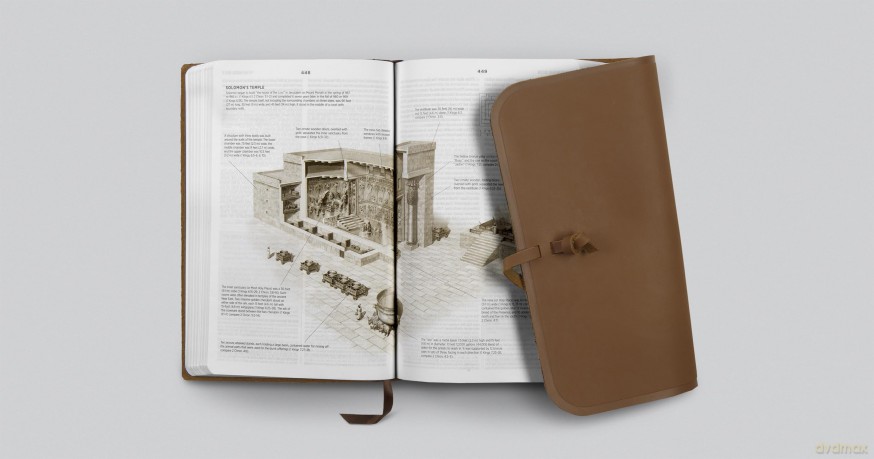 ESV Student Study Bible (Natural Leather, Brown, Flap with Strap): English Standard Version, Brown, Flap With Strap, Student Study Bible [KSIĄŻKA]