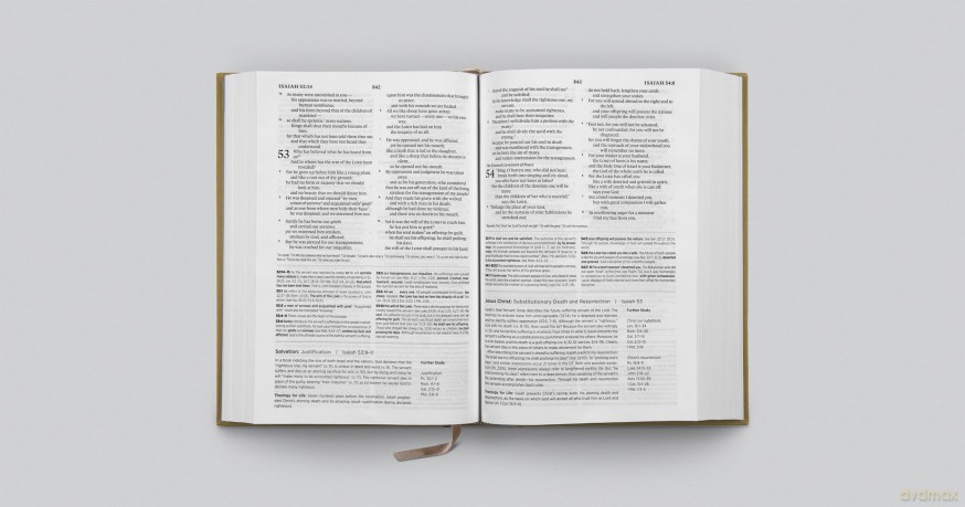 ESV Systematic Theology Study Bible: Theology Rooted in the Word of God (Cloth over Board, Ochre) [KSIĄŻKA]