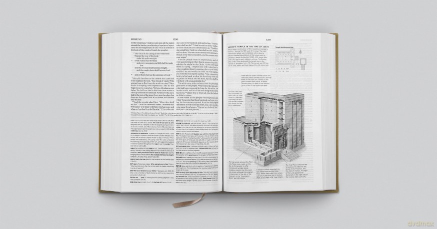 ESV Systematic Theology Study Bible: Theology Rooted in the Word of God (Cloth over Board, Ochre) [KSIĄŻKA]