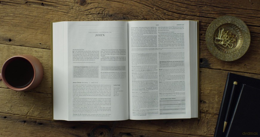 ESV Systematic Theology Study Bible: Theology Rooted in the Word of God (Cloth over Board, Ochre) [KSIĄŻKA]