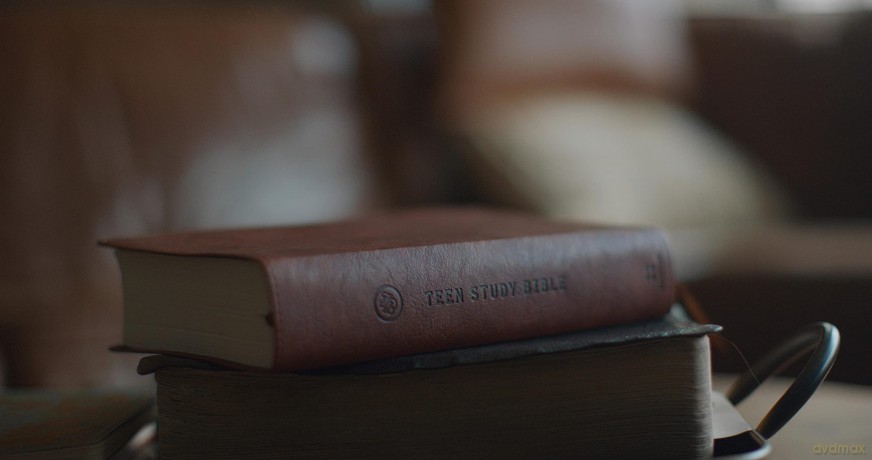 ESV Teen Study Bible (TruTone, Burnt Sienna): English Standard Version, Burnt Sienna, Trutone [KSIĄŻKA]