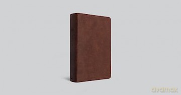 ESV Teen Study Bible (TruTone, Burnt Sienna): English Standard Version, Burnt Sienna, Trutone [KSIĄŻKA]