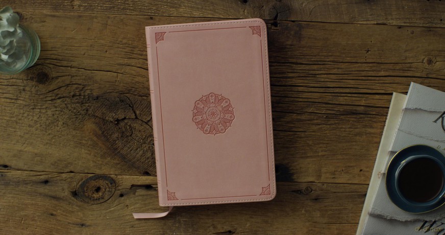 ESV Thinline Bible (TruTone, Blush Rose, Emblem Design): English Standard Version, Blush Rose, Trutone, Emblem Design [KSIĄŻKA]