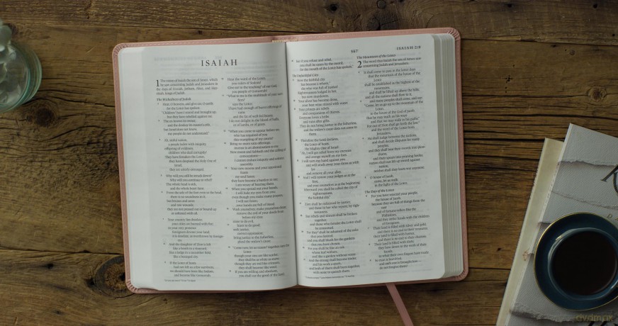 ESV Thinline Bible (TruTone, Blush Rose, Emblem Design): English Standard Version, Blush Rose, Trutone, Emblem Design [KSIĄŻKA]