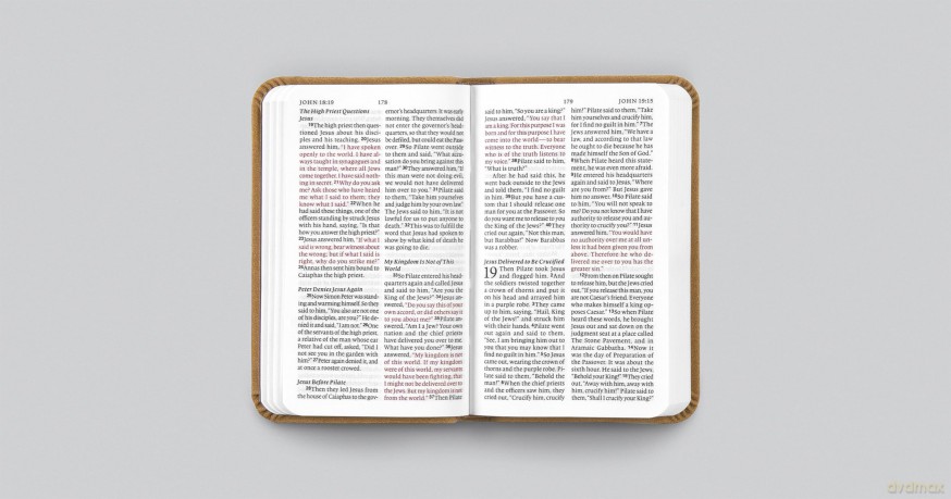 ESV Vest Pocket New Testament with Psalms and Proverbs (TruTone, Nubuck Caramel, Wildflower Design) [KSIĄŻKA]