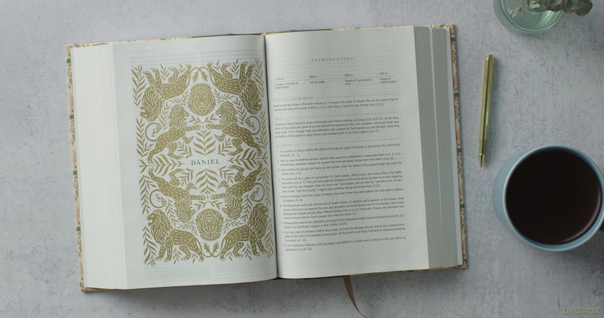 ESV Women's Study Bible, Artist Series (Cloth over Board, Lulie Wallace, Emma): English Standard Version, Cloth Over Board (Crossway's Artist) [KSIĄŻKA]