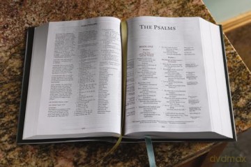 ESV, Thompson Chain-Reference Bible, Hardcover, Green, Red Letter: English Standard Version, Green, Thompson Chain-reference, Red Letter - Thompson Dr. Frank [KSIĄŻKA]