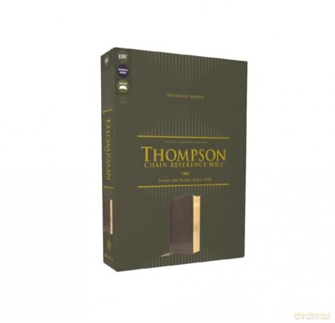 ESV, Thompson Chain-Reference Bible, Leathersoft, Gray, Red Letter: English Standard Version, Gray, Leathersoft, Thompson Chain-Reference, Red Letter - Thompson Dr Frank [KSIĄŻKA]