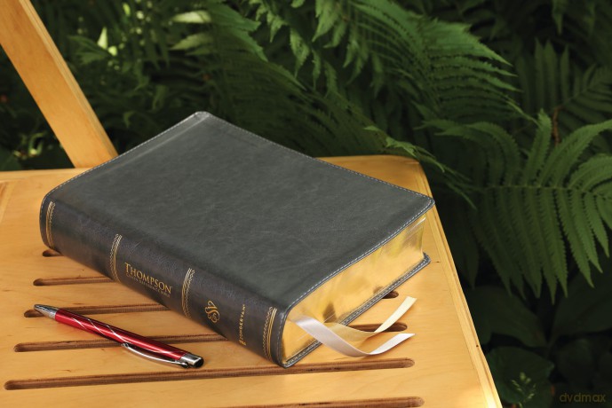 ESV, Thompson Chain-Reference Bible, Leathersoft, Gray, Red Letter: English Standard Version, Gray, Leathersoft, Thompson Chain-Reference, Red Letter - Thompson Dr Frank [KSIĄŻKA]