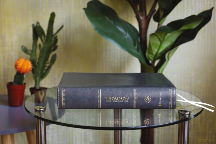 ESV, Thompson Chain-Reference Bible, Leathersoft, Gray, Red Letter: English Standard Version, Gray, Leathersoft, Thompson Chain-Reference, Red Letter - Thompson Dr Frank [KSIĄŻKA]