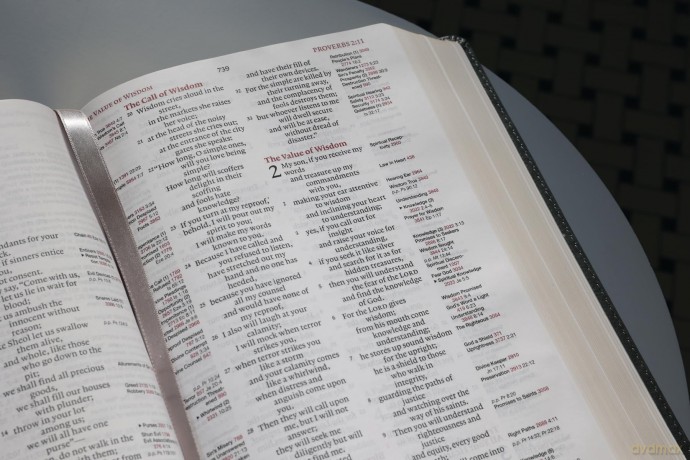 ESV, Thompson Chain-Reference Bible, Leathersoft, Gray, Red Letter: English Standard Version, Gray, Leathersoft, Thompson Chain-Reference, Red Letter - Thompson Dr Frank [KSIĄŻKA]