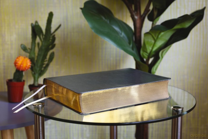 ESV, Thompson Chain-Reference Bible, Leathersoft, Gray, Red Letter: English Standard Version, Gray, Leathersoft, Thompson Chain-Reference, Red Letter - Thompson Dr Frank [KSIĄŻKA]
