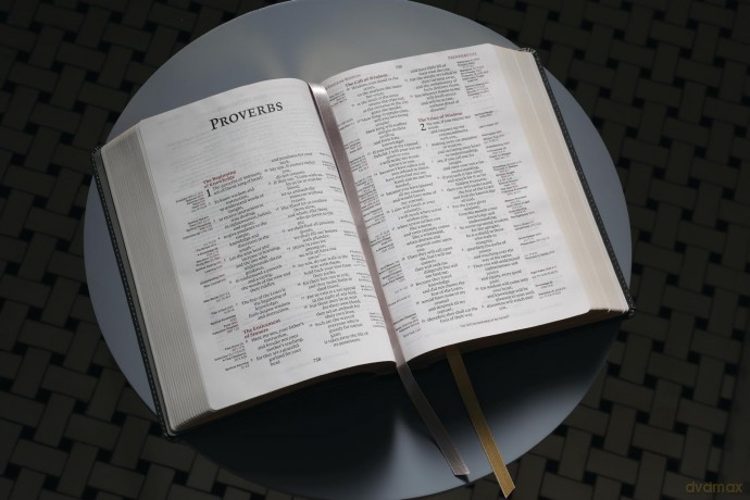 ESV, Thompson Chain-Reference Bible, Leathersoft, Gray, Red Letter: English Standard Version, Gray, Leathersoft, Thompson Chain-Reference, Red Letter - Thompson Dr Frank [KSIĄŻKA]