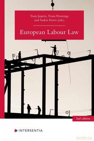 European Labour Law (2nd edition) - Teun Jaspers [KSIĄŻKA]