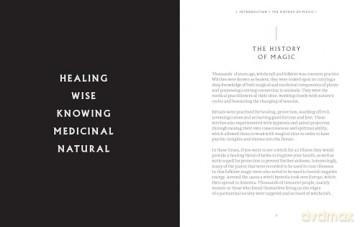 Everyday Magic: Rituals, Spells and Potions to Live Your Best Life - Semra Haksever [KSIĄŻKA]