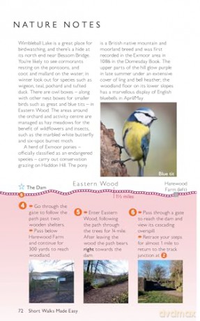 Exmoor Short Walks Made Easy | Ordnance Survey | 10 Walks For Everybody | Guidebook | England | Exmoor National Park | Walks | Adventure (OS Short Walks Made Easy) - Ordnance Survey