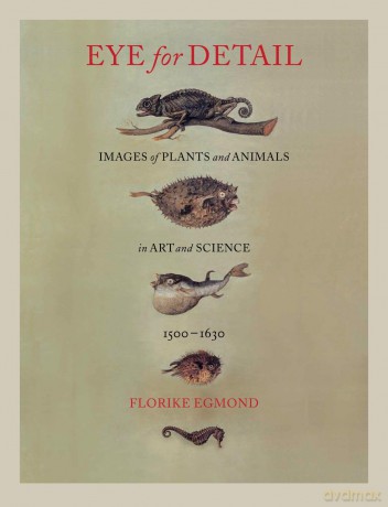Eye for Detail: Images of Plants and Animals in Art and Science, 1500-1630 - Egmond Florike [KSIĄŻKA]