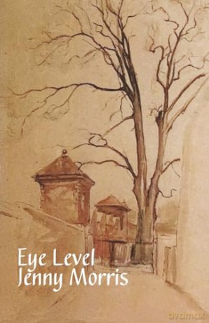 Eye Level - Jenny Morris [KSIĄŻKA]