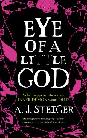 Eye of a Little God - A J Steiger [KSIĄŻKA]