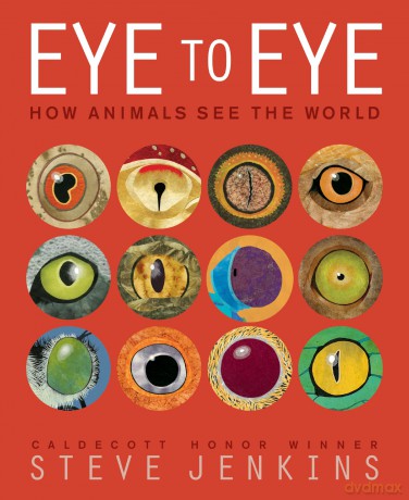 Eye to Eye/How Animals See the World: How Animals See the World - Jenkins Steve [KSIĄŻKA]