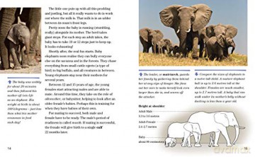 Face to Face with Elephants: Level 6 (National Geographic Readers) - Dereck Joubert [KSIĄŻKA]