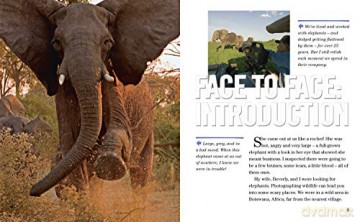 Face to Face with Elephants: Level 6 (National Geographic Readers) - Dereck Joubert [KSIĄŻKA]
