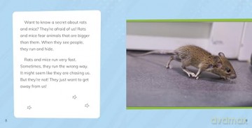 Facing Your Fear of Rats and Mice (Facing Your Fears) - Renee Biermann [KSIĄŻKA]