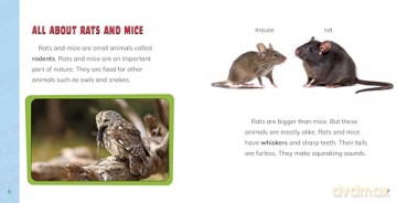Facing Your Fear of Rats and Mice (Facing Your Fears) - Renee Biermann [KSIĄŻKA]